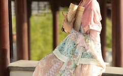 秋葵向日葵草莓黄瓜榴莲大全